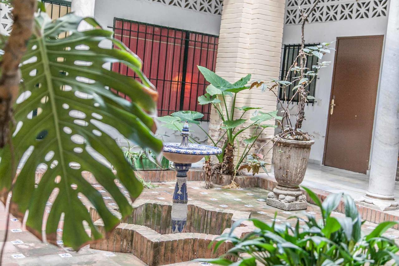 Apartamento Catedral Sevilla Dış mekan fotoğraf